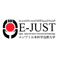 الجامعة المصرية اليابانية